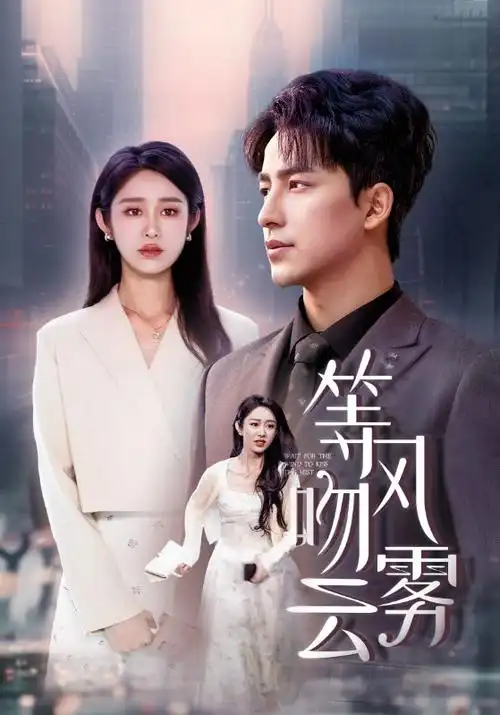 少妇影院悬疑剧集雾港来信剧照